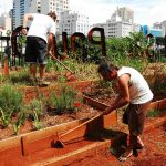 Saiba como criar uma horta comunitária